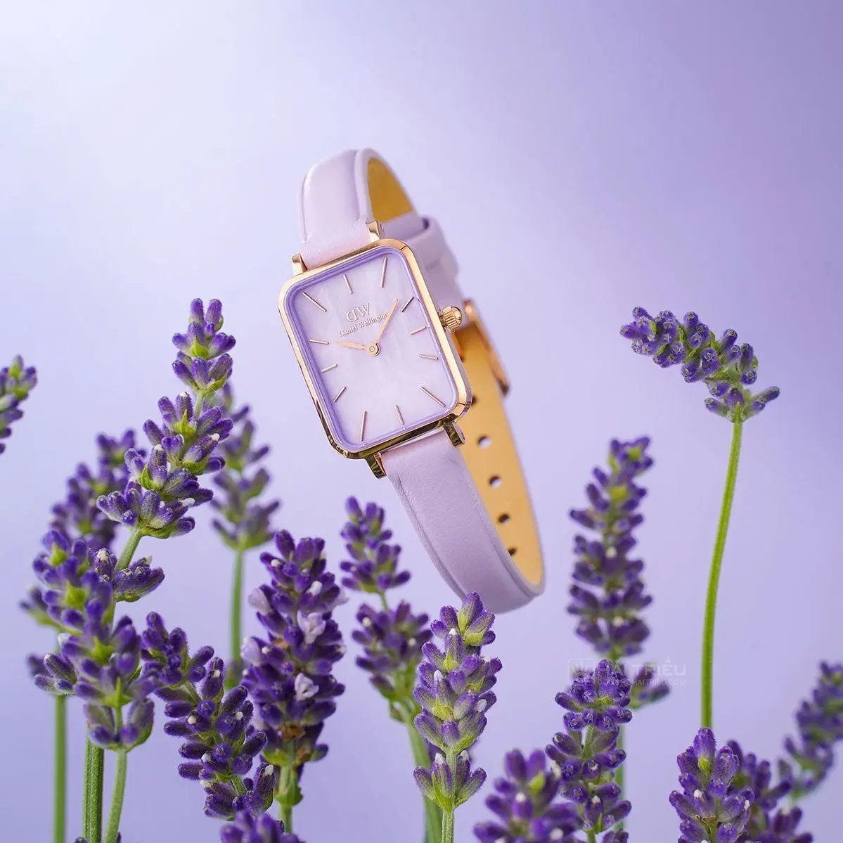 ZEGAREK DAMSKI DANIEL WELLINGTON Quadro Lavender Mop 20mm DW00100637 + BOX (zw521b) ZEGAREK DAMSKI DANIEL WELLINGTON Quadro Lavender Mop 20mm DW00100637 +  7315030048100