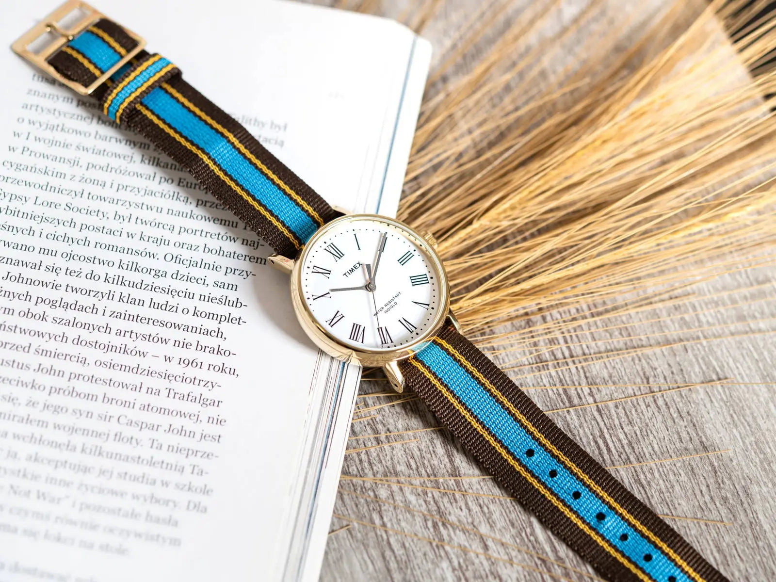 Zegarek Damski Timex Timex TW2U46300LG Zegarek Damski Timex Timex TW2U46300LG - Lorence 194366053784
