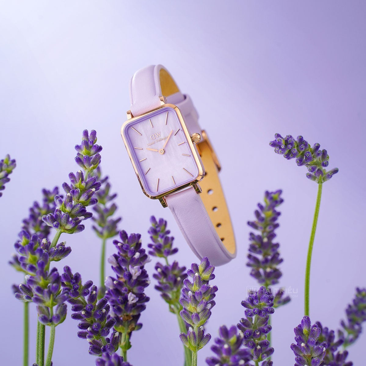 ZEGAREK DAMSKI DANIEL WELLINGTON Quadro Lavender Mop 20mm DW00100637 + BOX (zw521b) ZEGAREK DAMSKI DANIEL WELLINGTON Quadro Lavender Mop 20mm DW00100637 +  7315030048100