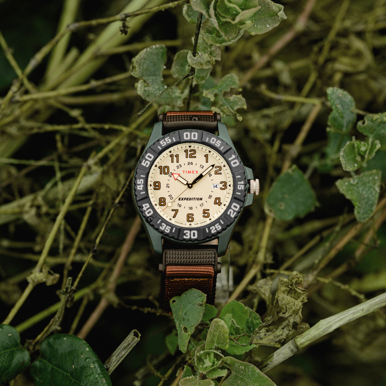 ZEGAREK MĘSKI TIMEX Expedition Acadia Rugged  TW4B26500  (zt161b) + BOX ZEGAREK MĘSKI TIMEX Expedition Acadia Rugged  TW4B26500  (zt161b) +  194366276718